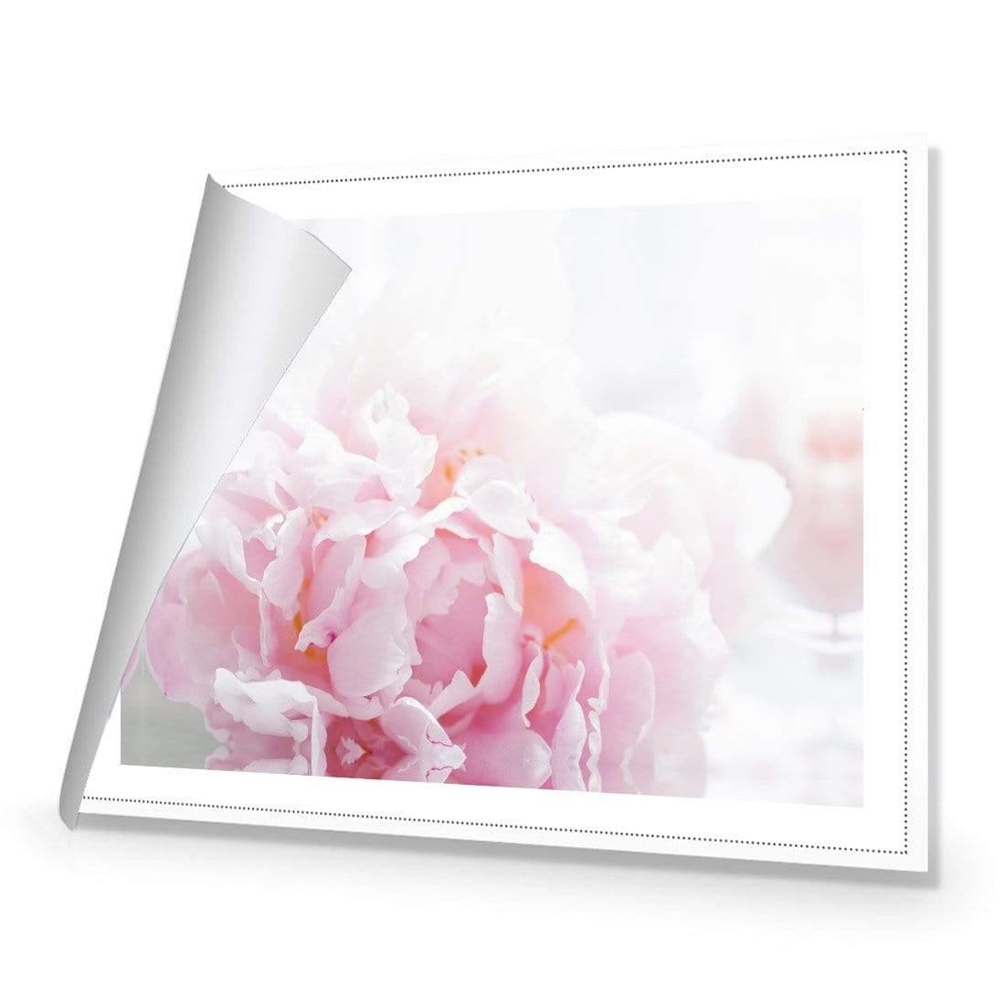 Delicate Pink Peony - Wall Art Designs - 3272_AR_H CAF_CP - MPY - 260 - M - R_45x30_NONE