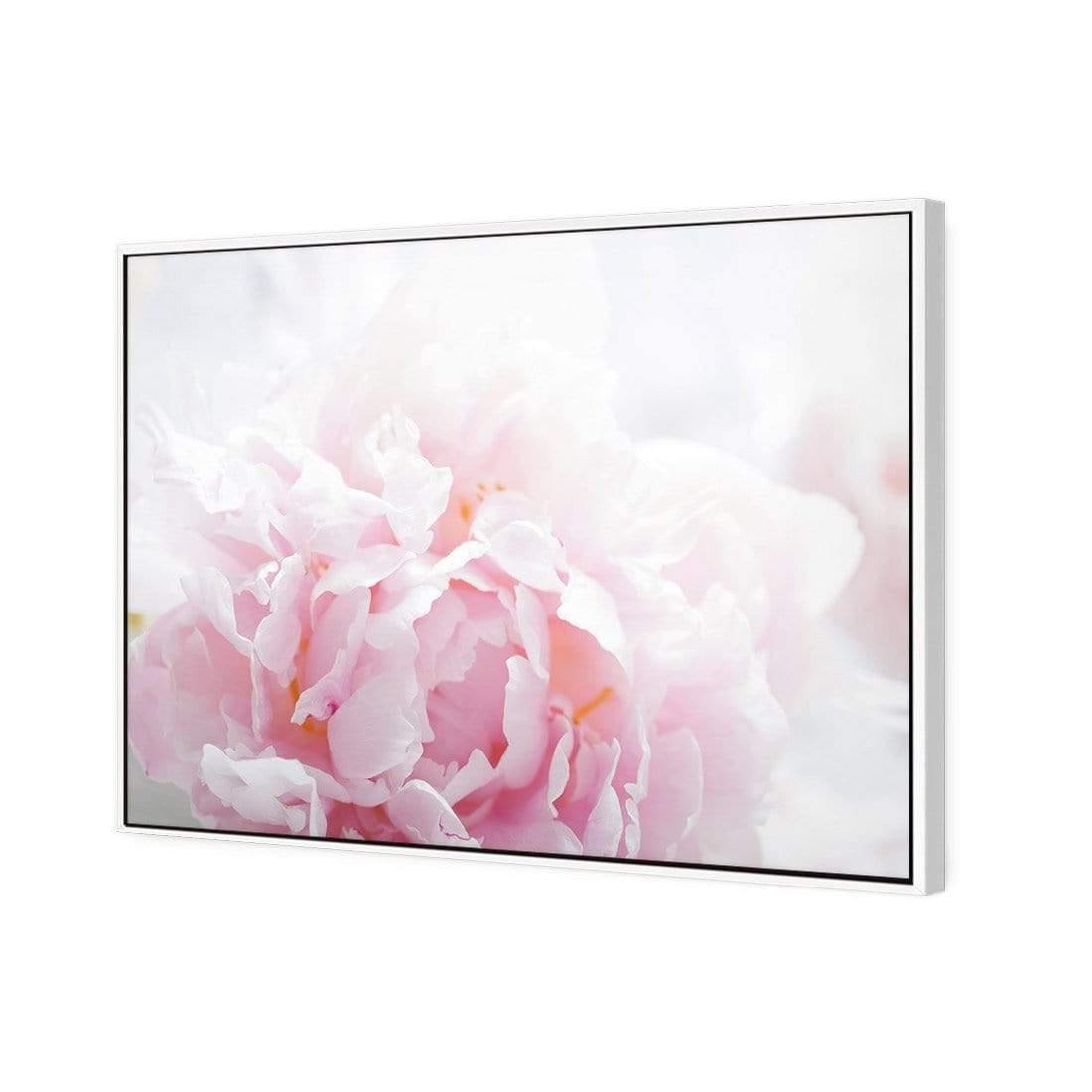 Delicate Pink Peony - Wall Art Designs - 3272_AR_H CAF_CP - MPY - 260 - M - S - S_45x30_S - 1550 - WHT