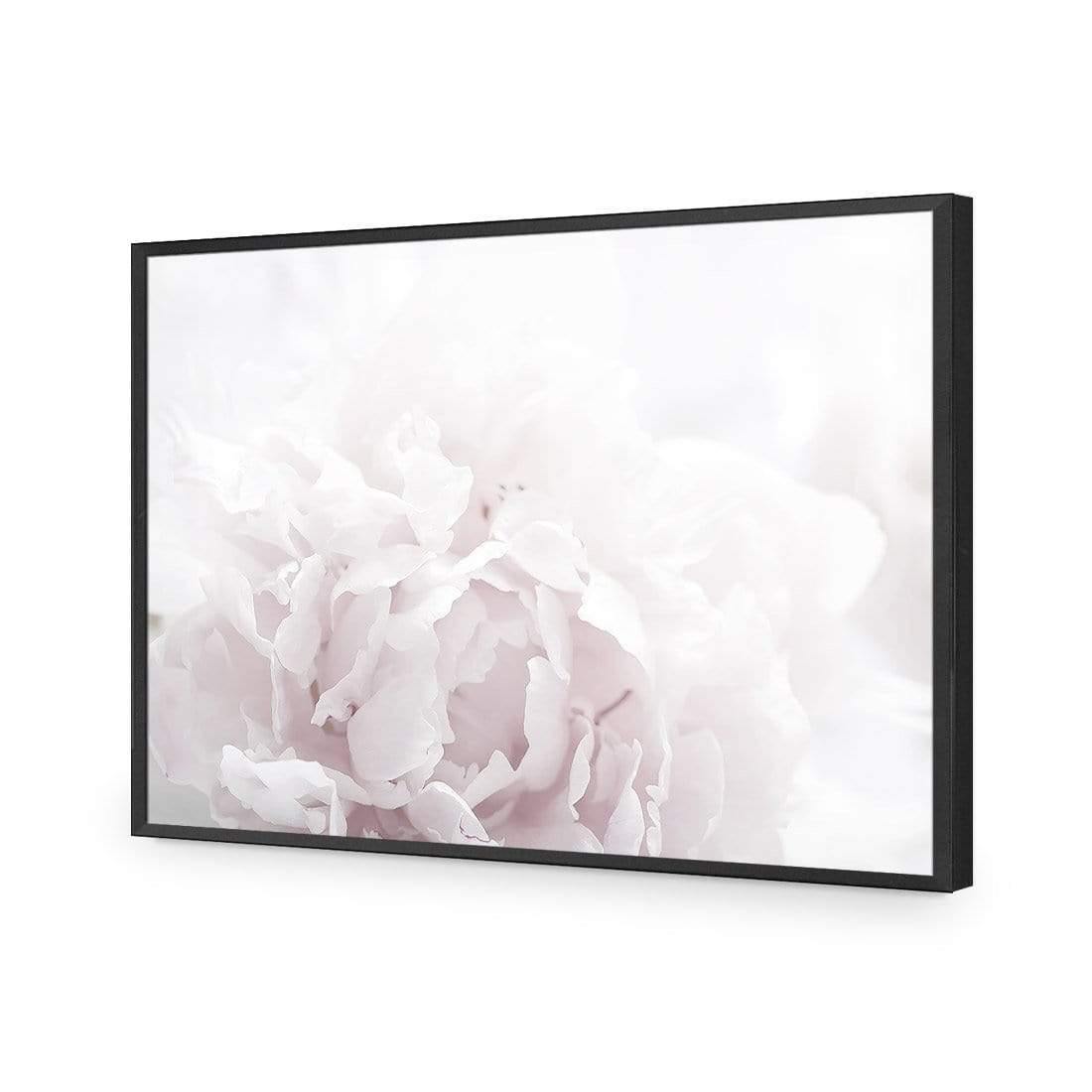 Delicate Pink Peony Soft - Wall Art Designs - 3272_DR_H CAF_AP - 030 - EDG_45x30_S - 2538 - BLK