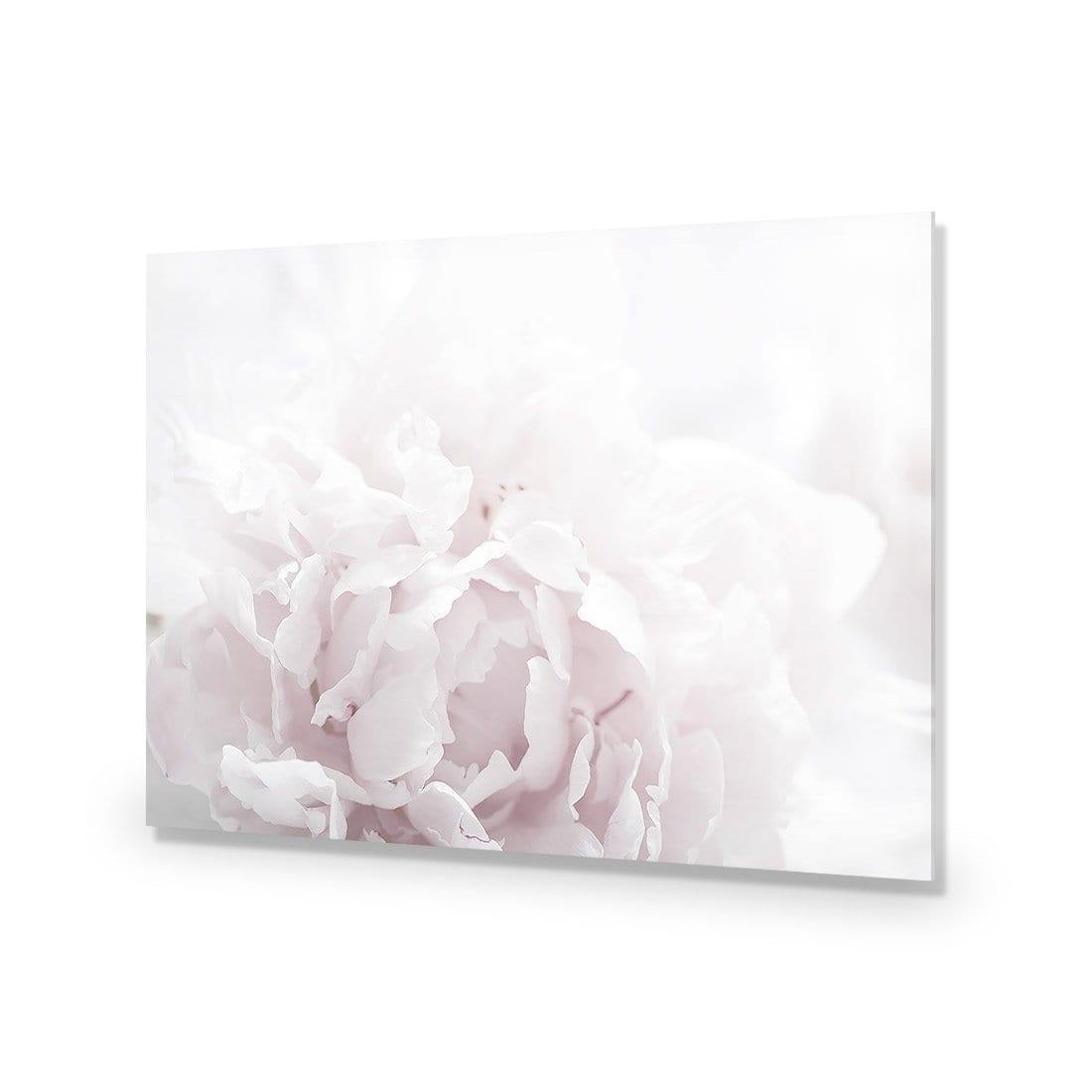 Delicate Pink Peony Soft - Wall Art Designs - 3272_DR_H CAF_AP - 030 - EDG_45x30_NONE