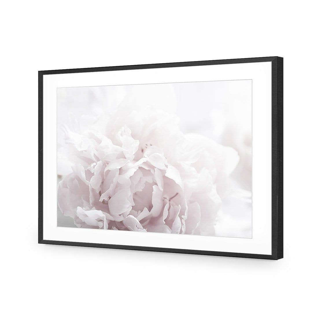 Delicate Pink Peony Soft - Wall Art Designs - 3272_DR_H CAF_AP - 030 - MAT_45x30_S - 2538 - BLK