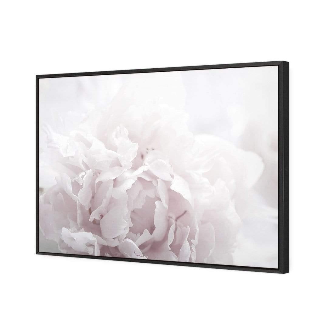 Delicate Pink Peony Soft - Wall Art Designs - 3272_DR_H CAF_CP - MPY - 260 - M - S - S_45x30_S - 1550 - BLK