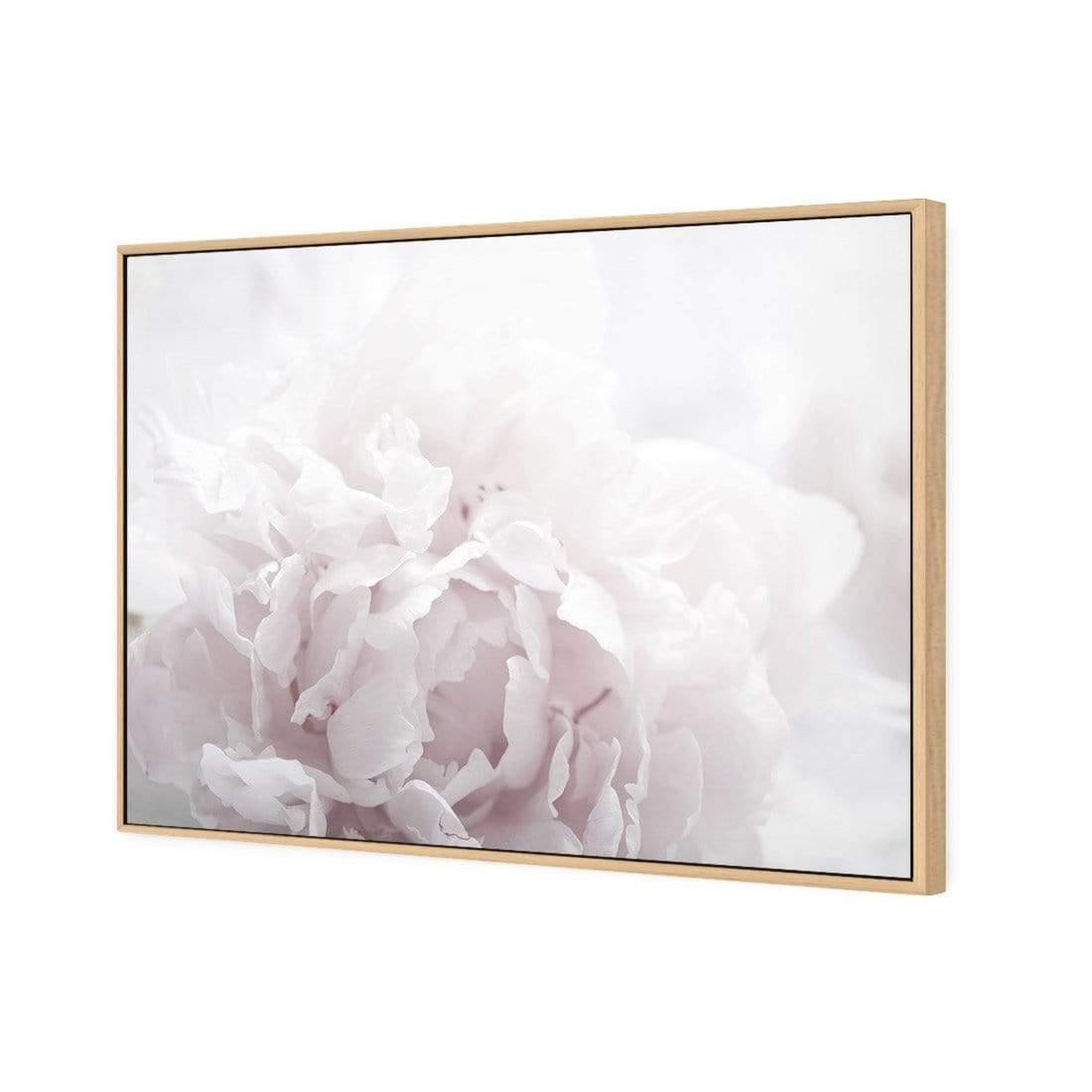 Delicate Pink Peony Soft - Wall Art Designs - 3272_DR_H CAF_CP - MPY - 260 - M - S - S_45x30_S - 1550 - OAK