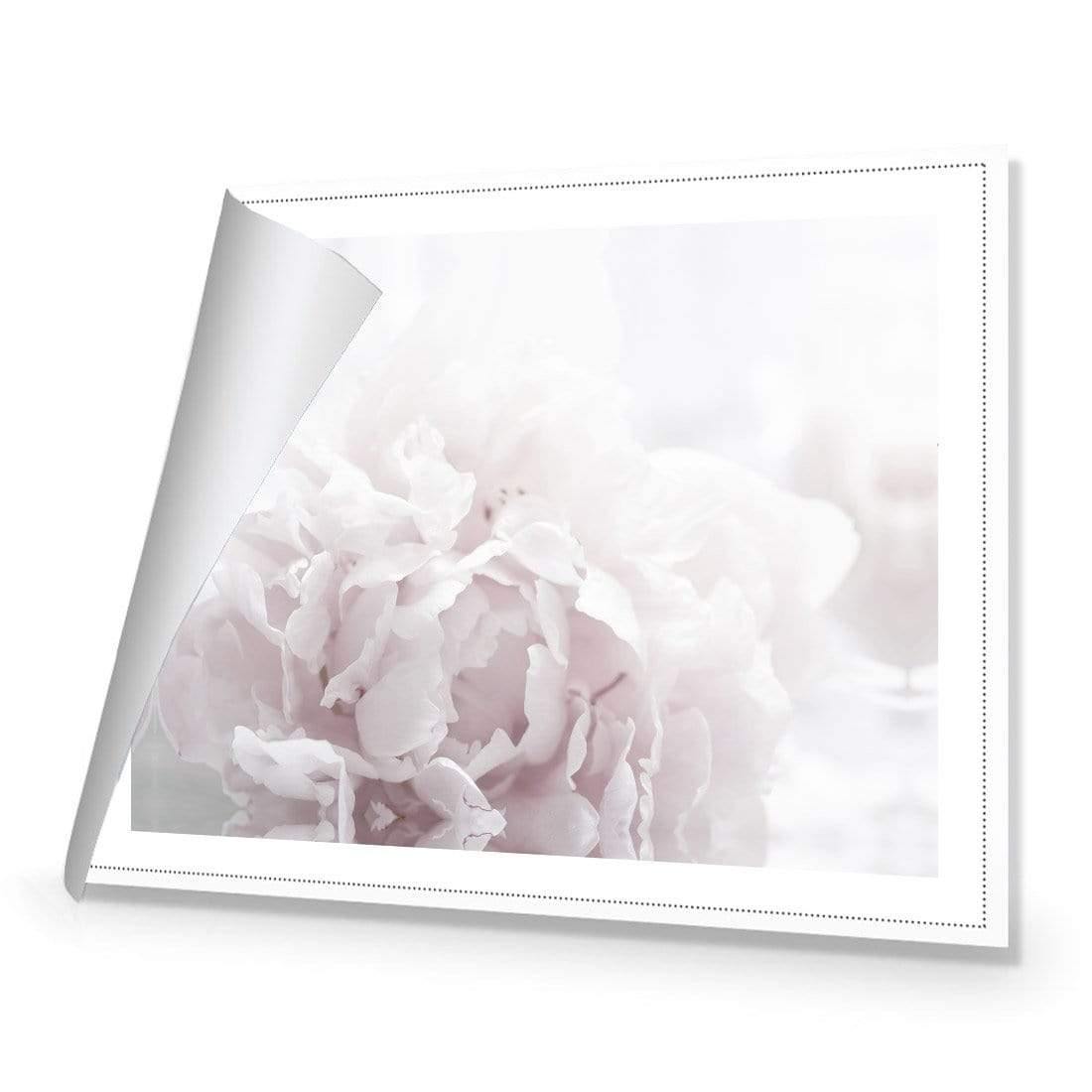 Delicate Pink Peony Soft - Wall Art Designs - 3272_DR_H CAF_CP - MPY - 260 - M - R_45x30_NONE