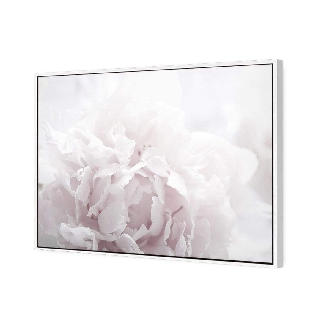 Delicate Pink Peony Soft - Wall Art Designs - 3272_DR_H CAF_CP - MPY - 260 - M - S - S_45x30_S - 1550 - WHT