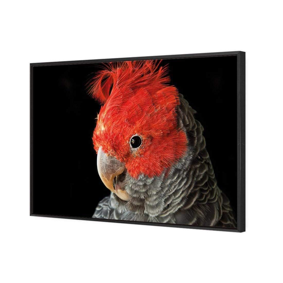 Delilah the Red Headed Parrot - Wall Art Designs - 3086_AR_H WAD_CP - MPY - 260 - M - S - S_45x30_NONE