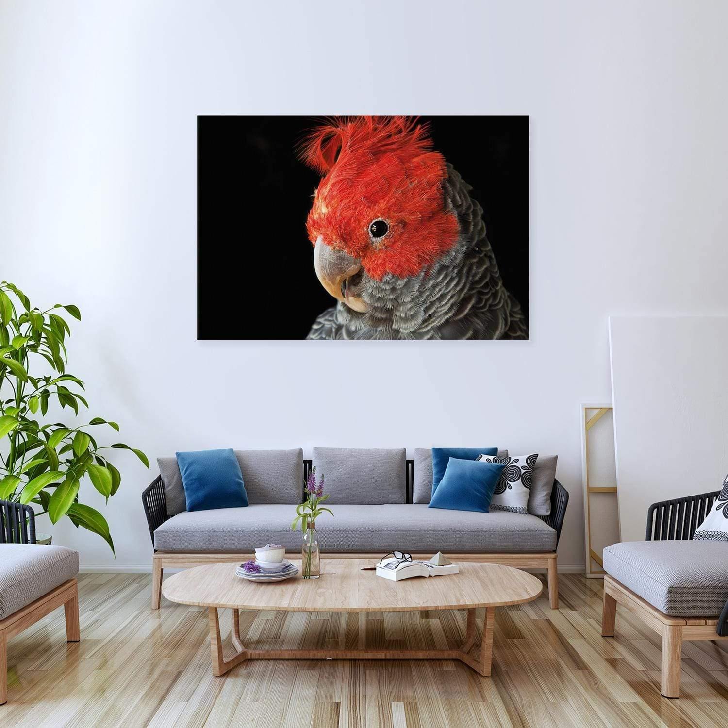 Delilah the Red Headed Parrot - Wall Art Designs - 3086_AR_H WAD_CP - MPY - 260 - M - S - S_45x30_NONE