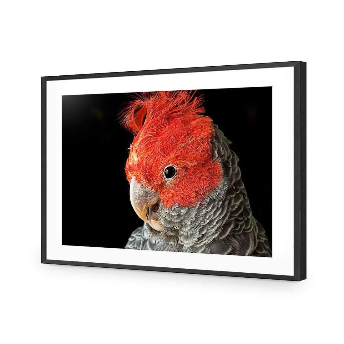 Delilah the Red Headed Parrot - Wall Art Designs - 3086_AR_H WAD_CP - MPY - 260 - M - S - S_45x30_NONE