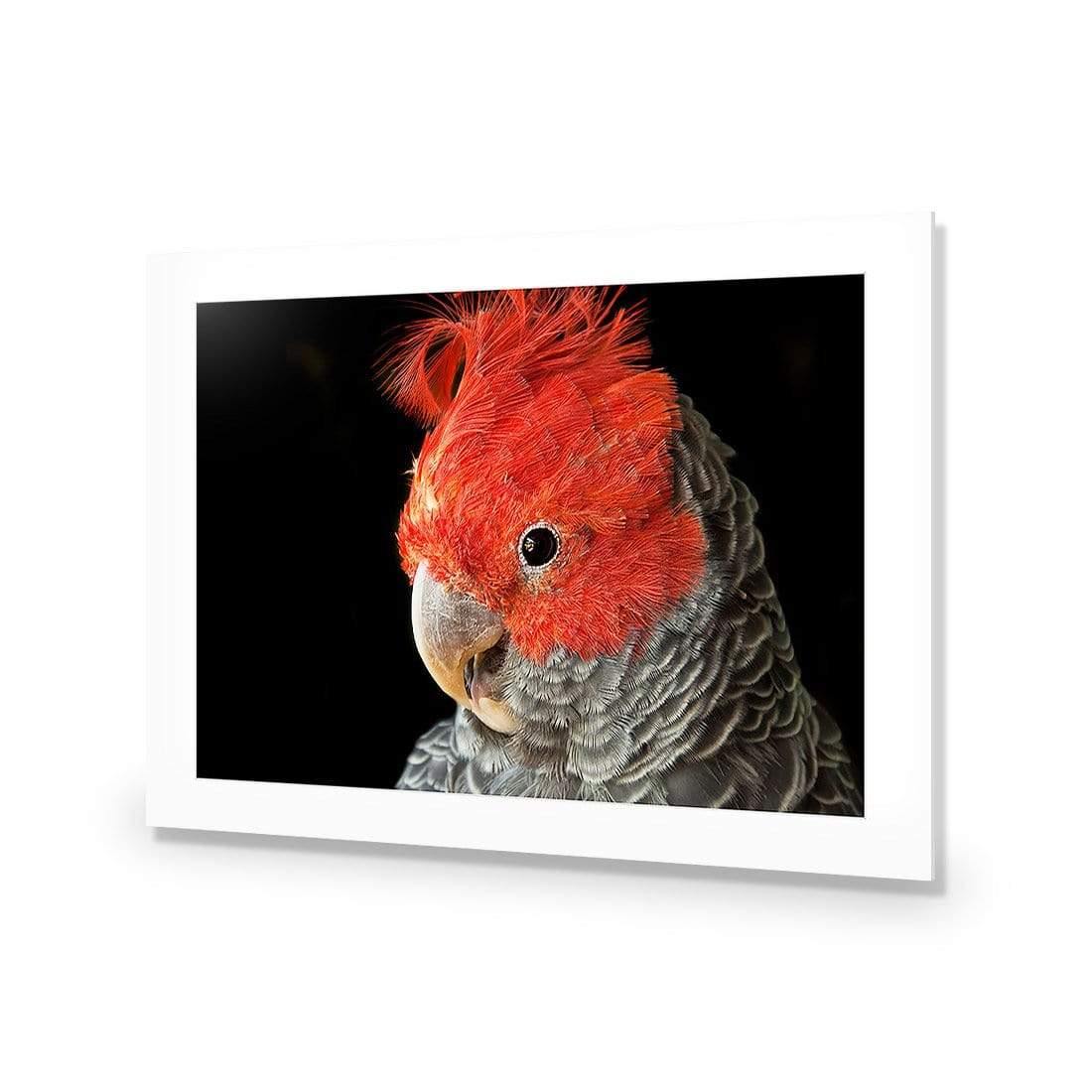 Delilah the Red Headed Parrot - Wall Art Designs - 3086_AR_H WAD_CP - MPY - 260 - M - S - S_45x30_NONE