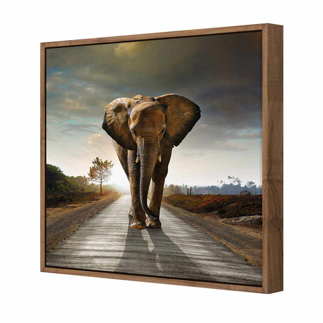 Determined Elephant | Standard Canvas | Floating Frame | Natural