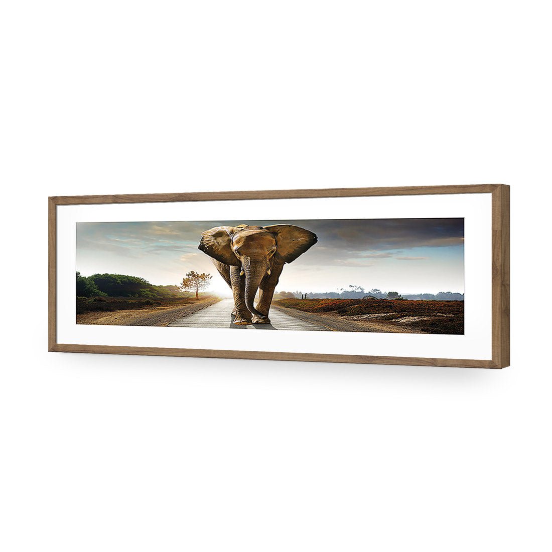 Determined Elephant, Long | Classic Acrylic | Flat Frame With Border | Natural
