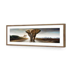 Determined Elephant, Long | Classic Acrylic | Flat Frame With Border | Natural
