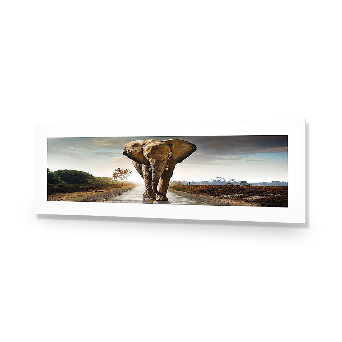 Determined Elephant, Long | Classic Acrylic | No Frame With Border