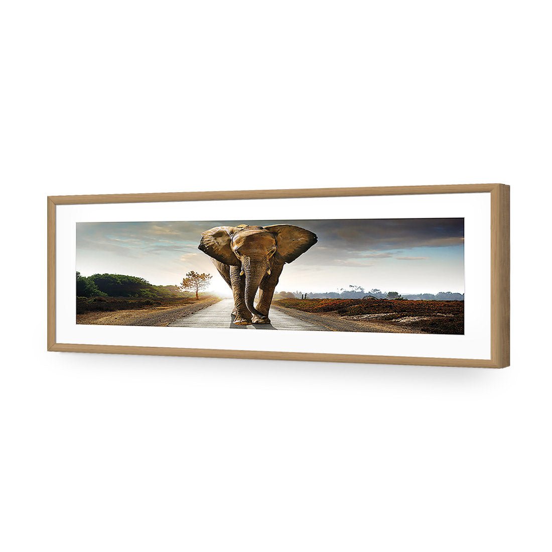Determined Elephant, Long | Classic Acrylic | Flat Frame With Border | Oak