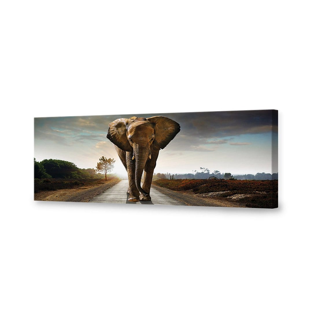 Determined Elephant (Long) Canvas Art - Wall Art Designs - 3022_AL_H WAD_CP - MPY - 260 - M - S - S_60x20_NONE