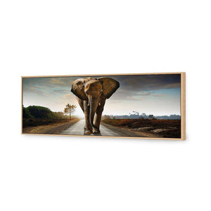 Determined Elephant, Long | Classic Canvas | Floating Frame | Oak