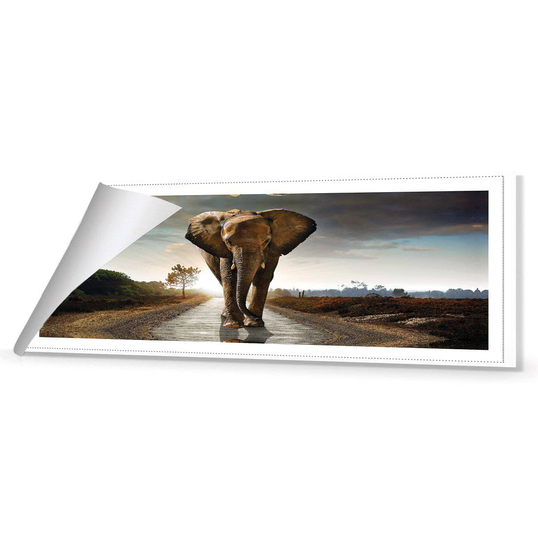 Determined Elephant (Long) Canvas Art - Wall Art Designs - 3022_AL_H WAD_CP - MPY - 260 - M - R_60x20_NONE