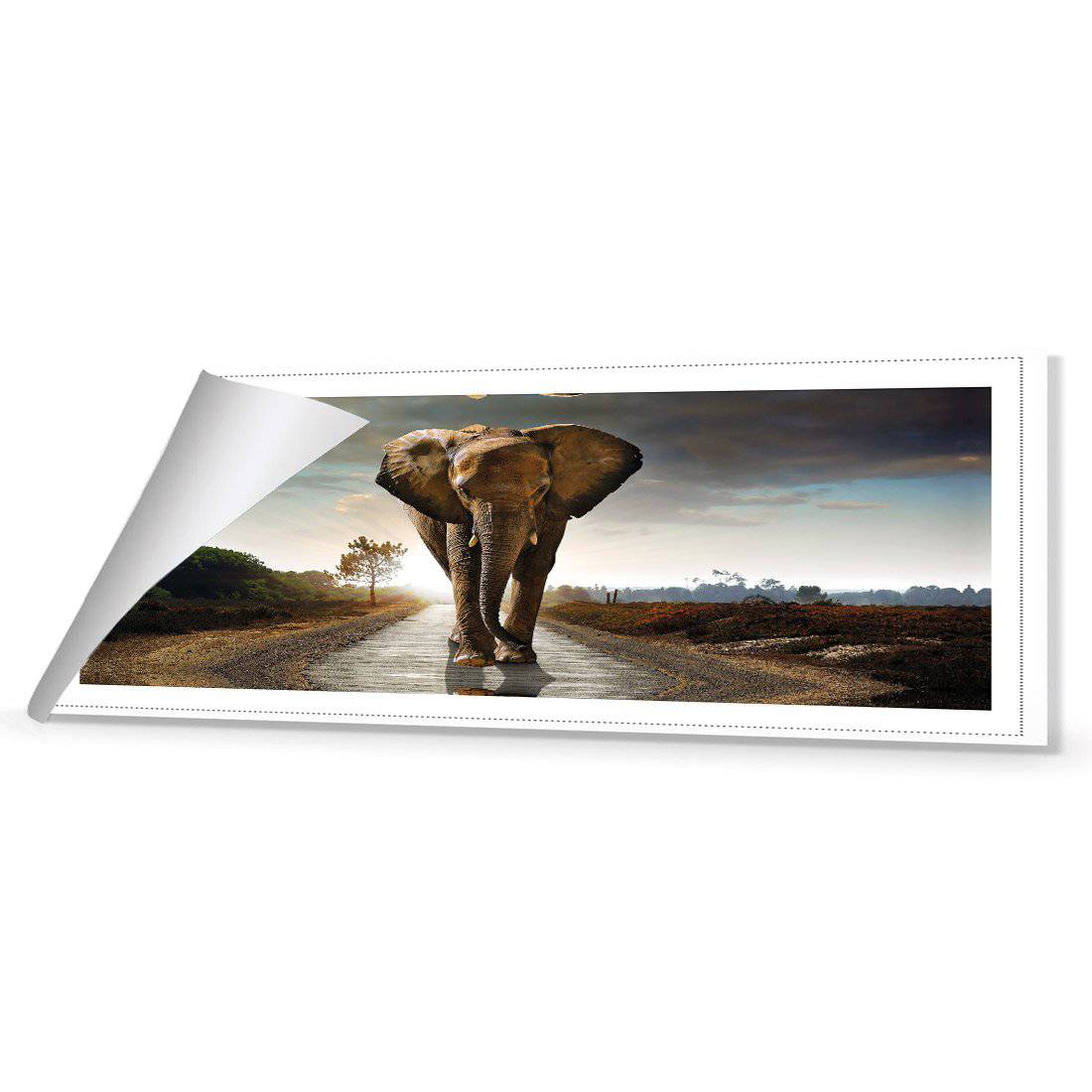 Determined Elephant, Long | Classic Canvas | No Frame | Rolled Canvas