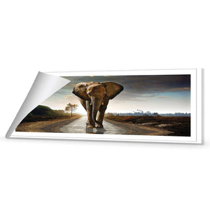 Determined Elephant, Long | Classic Canvas | No Frame | Rolled Canvas