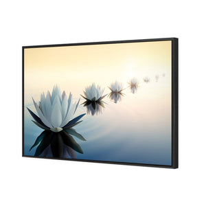 Distant Reflection | Standard Canvas | Floating Frame | Black