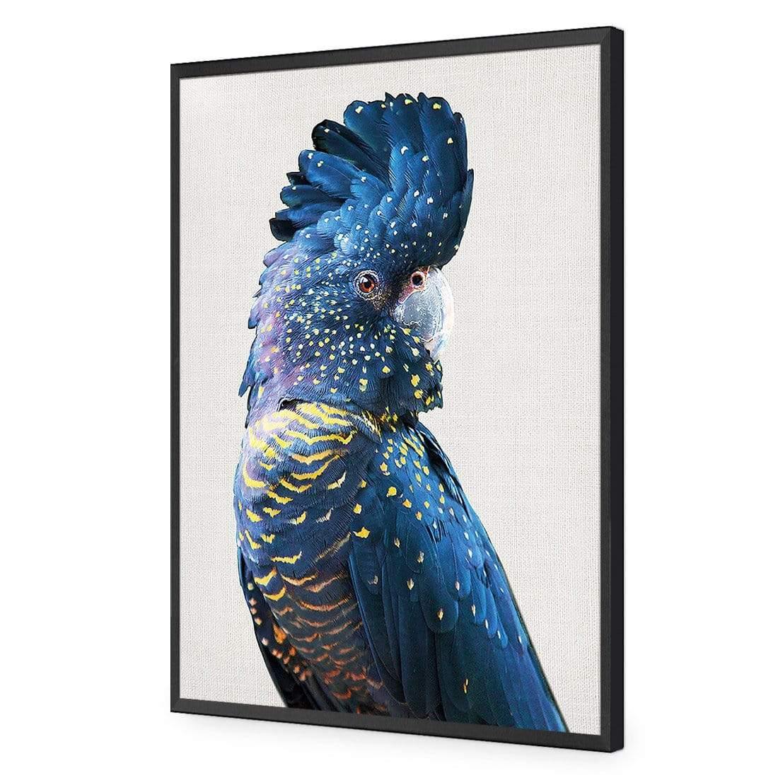 Distracted Black Cocky - Wall Art Designs - AU_1044_AR_V CAF_AP - 030 - EDG_45x30_S - 2538 - BLK