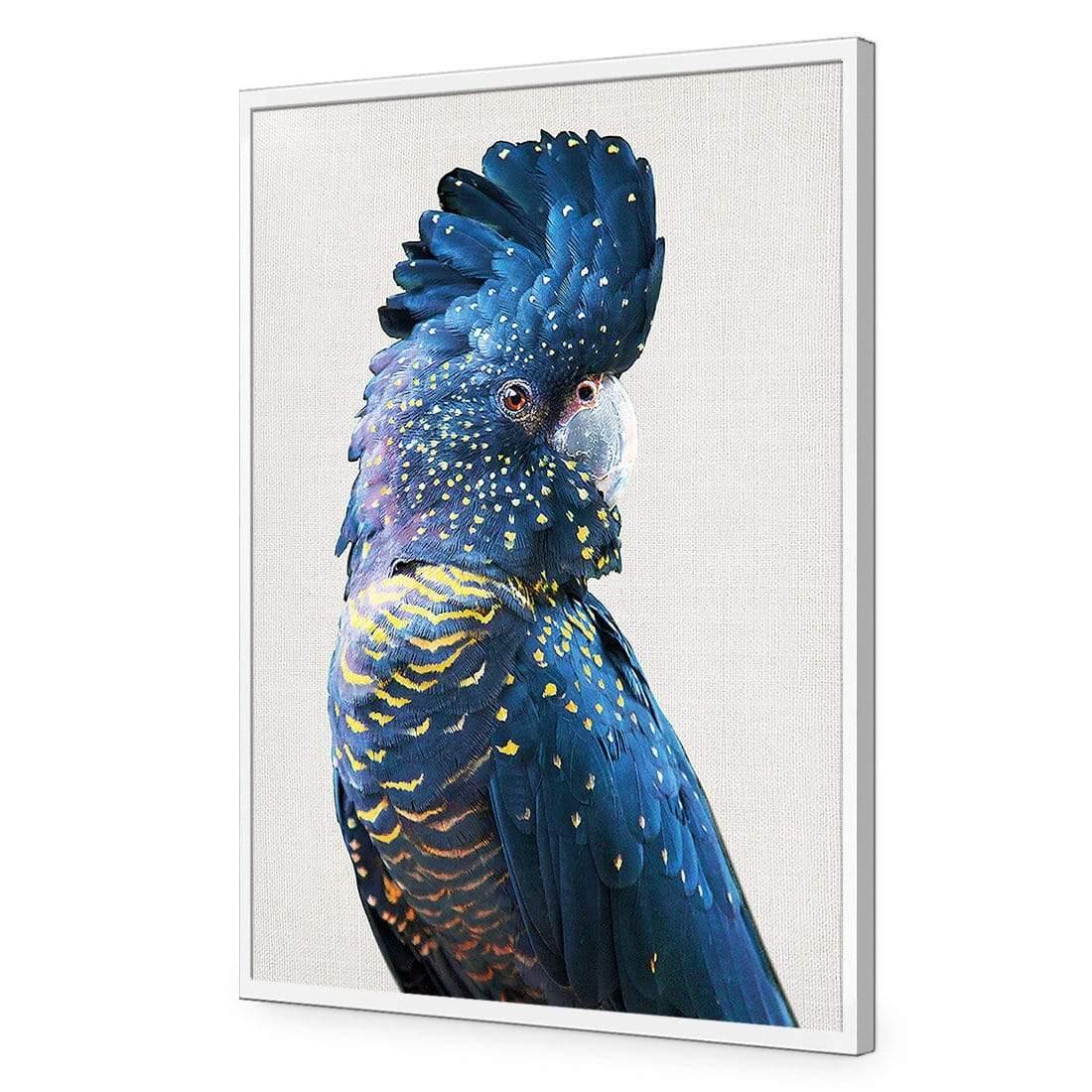 Distracted Black Cocky - Wall Art Designs - AU_1044_AR_V CAF_AP - 030 - EDG_45x30_S - 2538 - WHT