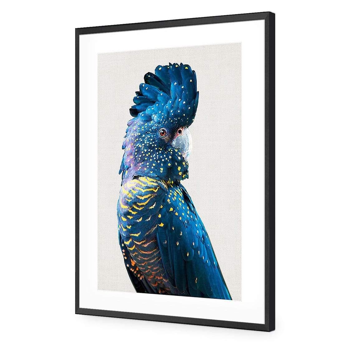 Distracted Black Cocky - Wall Art Designs - AU_1044_AR_V CAF_AP - 030 - MAT_45x30_S - 2538 - BLK