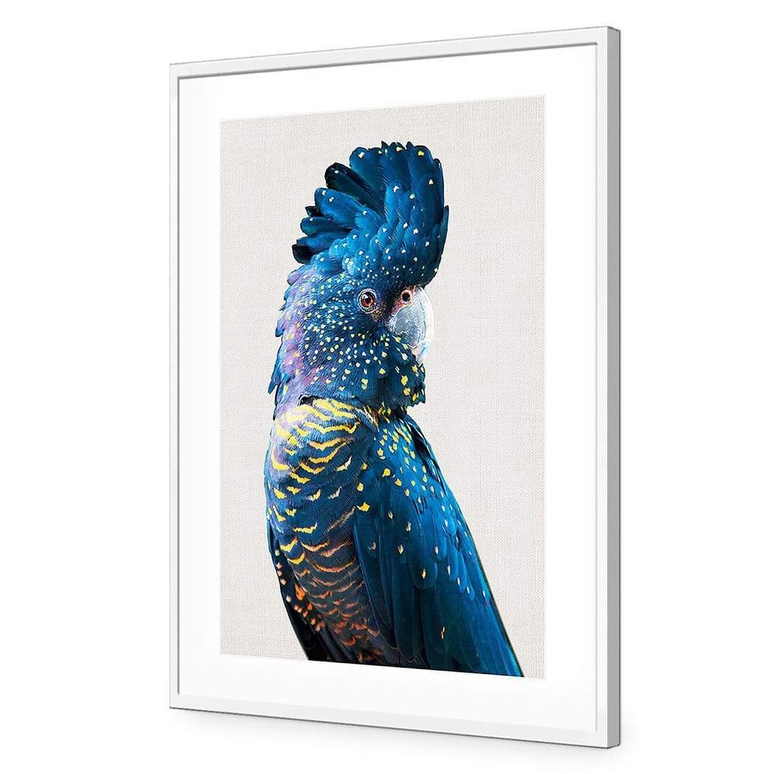 Distracted Black Cocky - Wall Art Designs - AU_1044_AR_V CAF_AP - 030 - MAT_45x30_S - 2538 - WHT