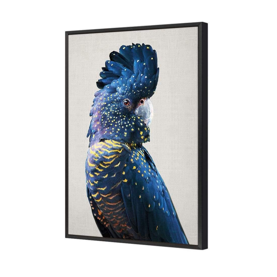 Distracted Black Cocky - Wall Art Designs - AU_1044_AR_V CAF_CP - MPY - 260 - M - S - S_45x30_S - 1550 - BLK