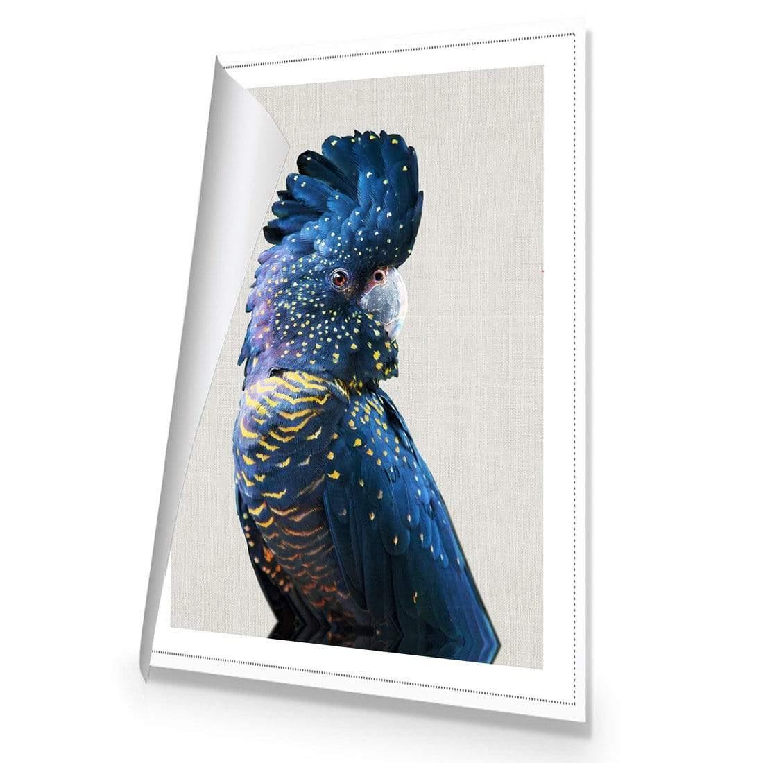 Distracted Black Cocky - Wall Art Designs - AU_1044_AR_V CAF_CP - MPY - 260 - M - R_45x30_NONE