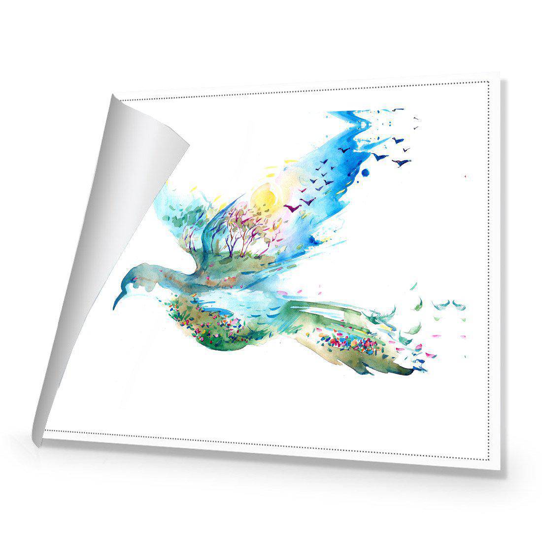 Dove Of Peace | Standard Canvas | No Frame | Rolled Canvas