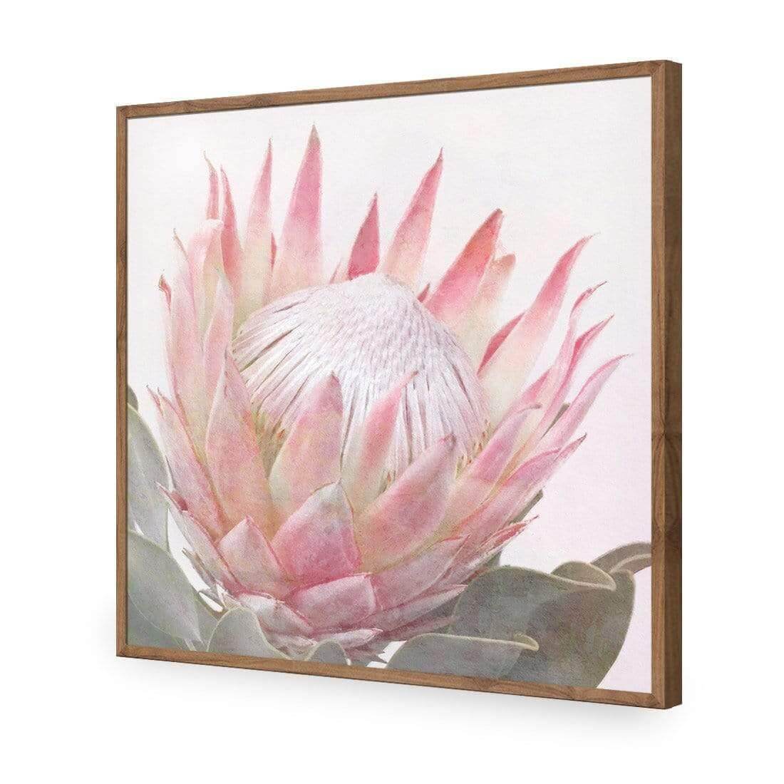 Dreamy Protea (Square) - Wall Art Designs - AU_1099_AS_Q WAD_AP - 030 - EDG_37x37_S - 2538 - NAT