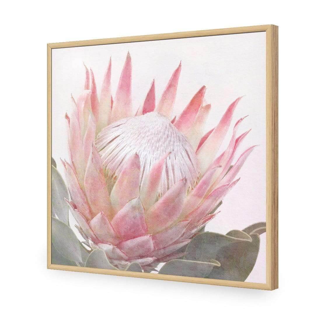 Dreamy Protea (Square) - Wall Art Designs - AU_1099_AS_Q WAD_AP - 030 - EDG_37x37_S - 2538 - OAK