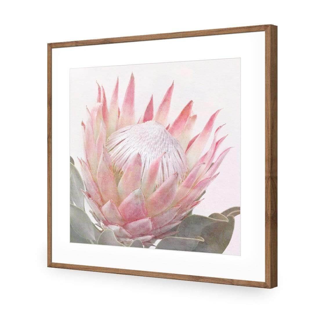 Dreamy Protea (Square) - Wall Art Designs - AU_1099_AS_Q WAD_AP - 030 - MAT_37x37_S - 2538 - NAT