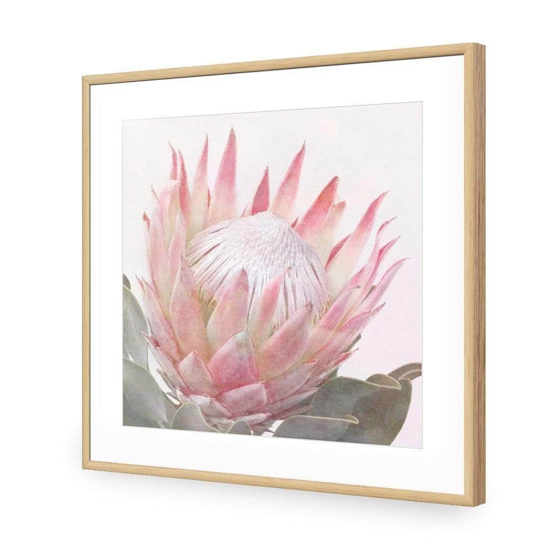 Dreamy Protea (Square) - Wall Art Designs - AU_1099_AS_Q WAD_AP - 030 - MAT_37x37_S - 2538 - OAK