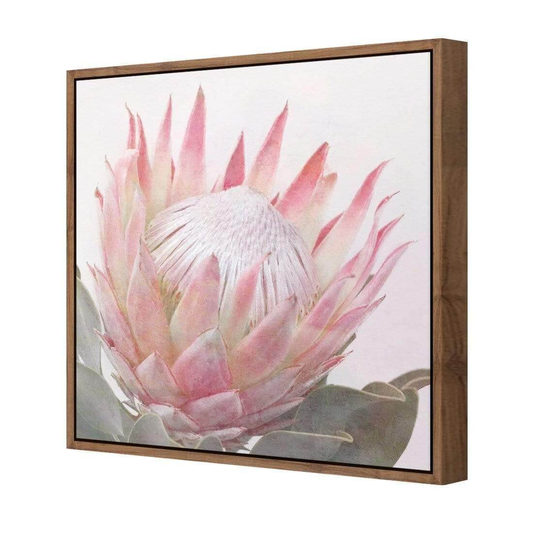 Dreamy Protea (Square) - Wall Art Designs - AU_1099_AS_Q WAD_CP - MPY - 260 - M - S - S_37x37_S - 1550 - NAT