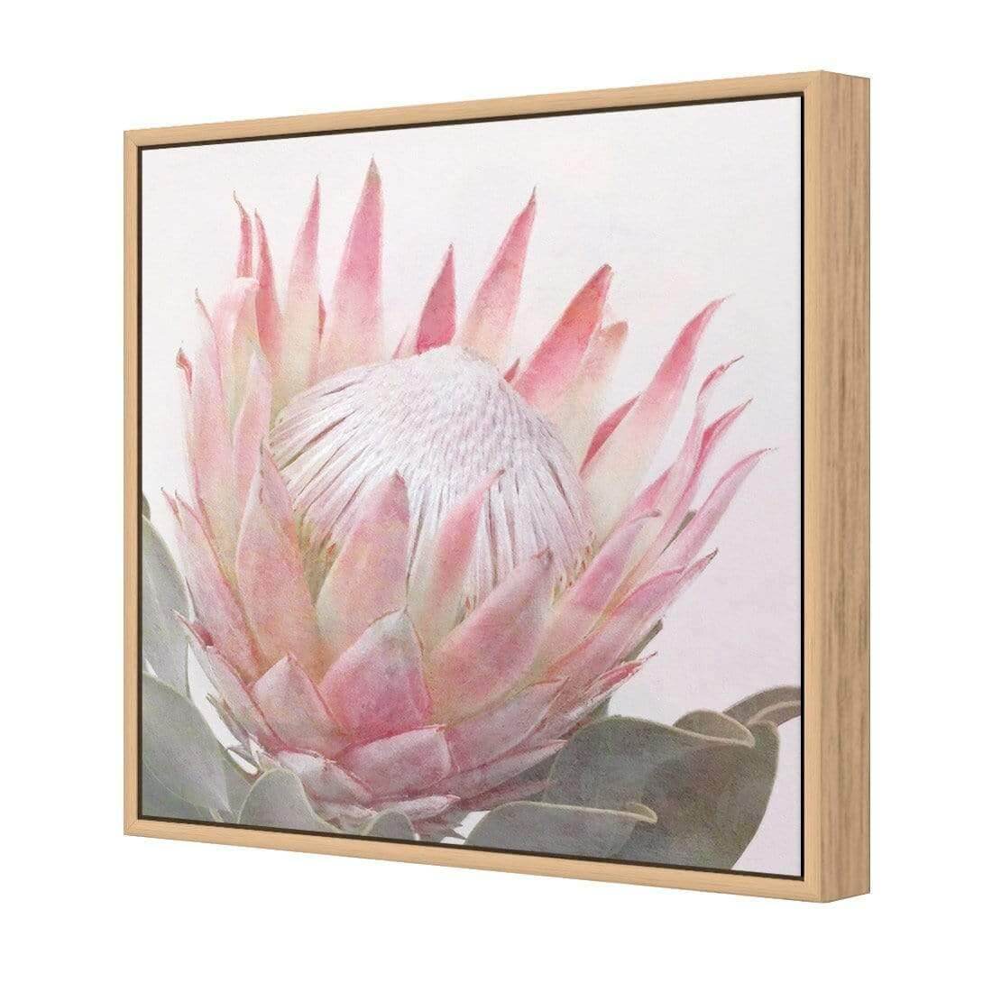 Dreamy Protea (Square) - Wall Art Designs - AU_1099_AS_Q WAD_CP - MPY - 260 - M - S - S_37x37_S - 1550 - OAK