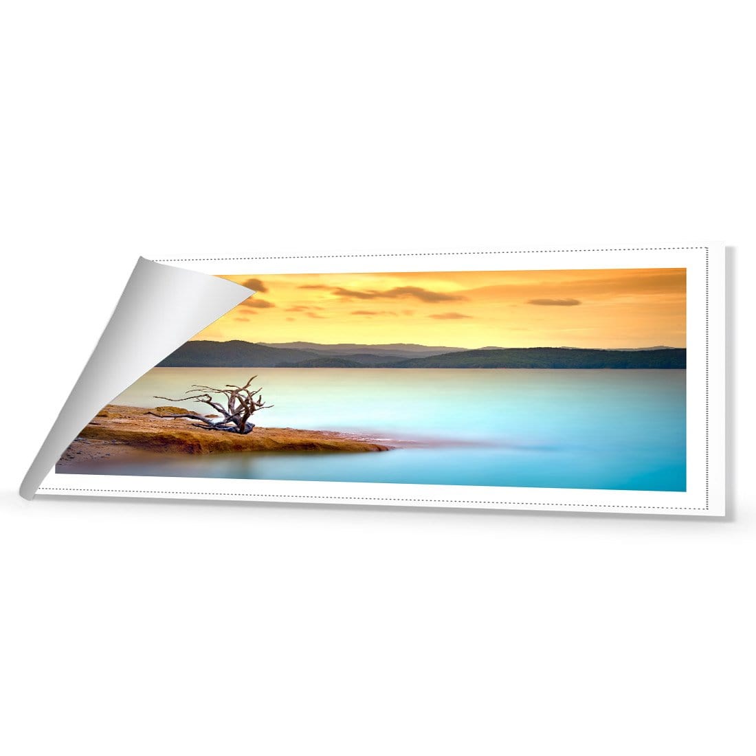 Driftwood Peninsula (long) - Wall Art Designs - 752_AL_H WAD_CP - MPY - 260 - M - R_60x20_NONE