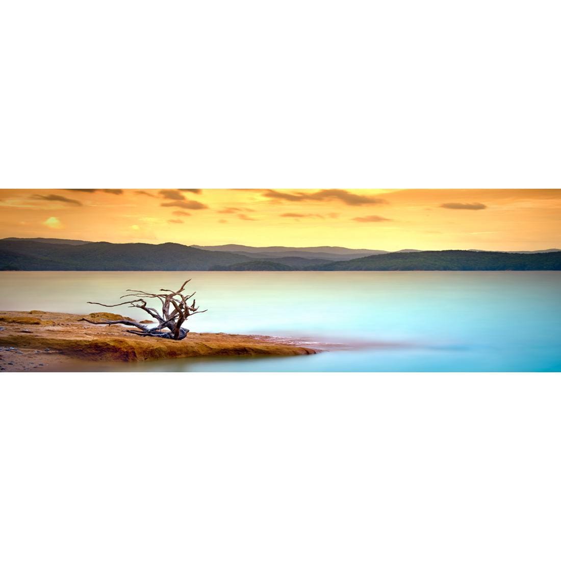 Driftwood Peninsula (long) - Wall Art Designs - 752_AL_H WAD_CP - MPY - 260 - M - S - S_60x20_NONE