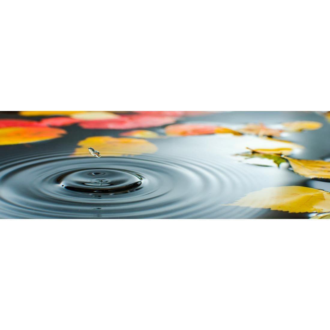 Droplet on Lily Pond (long) - Wall Art Designs - 788_AL_H WAD_CP - MPY - 260 - M - S - S_60x20_NONE