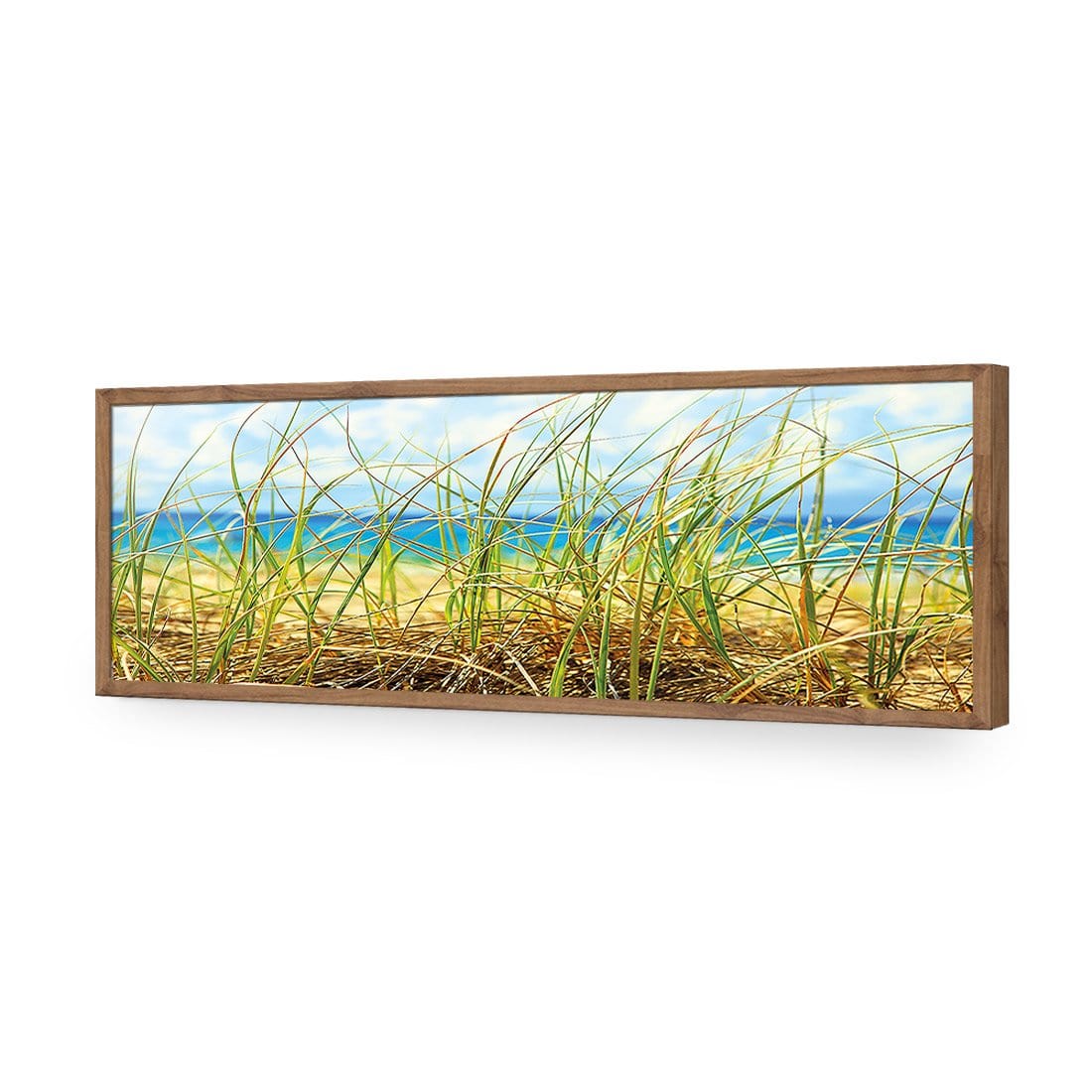 Dune Grass (Long) - Wall Art Designs - 308_AL_H caf_AP - 030 - EDG_90x30_S - 2538 - NAT