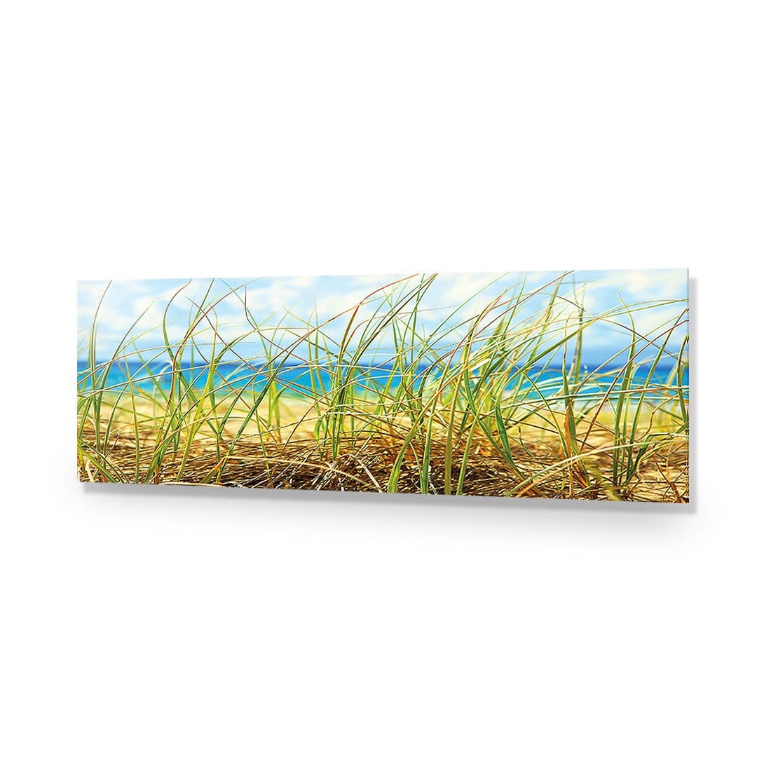 Dune Grass (Long) - Wall Art Designs - 308_AL_H caf_AP - 030 - EDG_90x30_NONE