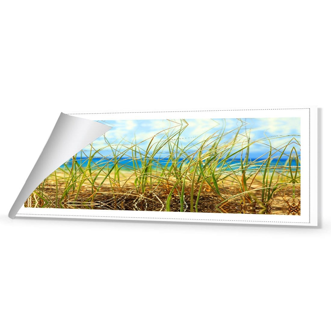 Dune Grass (Long) - Wall Art Designs - 308_AL_H caf_CP - MPY - 260 - M - R_60x20_NONE