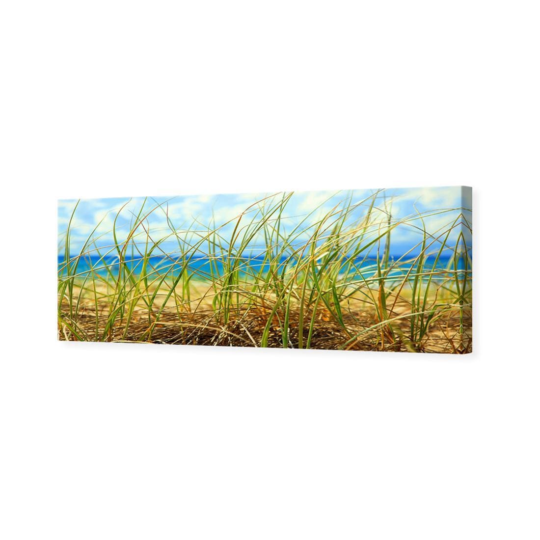 Dune Grass (Long) - Wall Art Designs - 308_AL_H WAD_CP - MPY - 260 - M - S - S_60x20_NONE