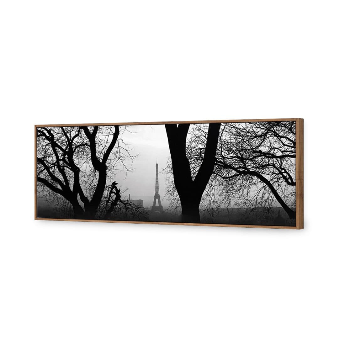 Eiffel Tower Through Trees, B&W Canvas Art - Wall Art Designs - 664_BL_H WAD_CP - MPY - 260 - M - S - S_60x20_S - 1550 - NAT