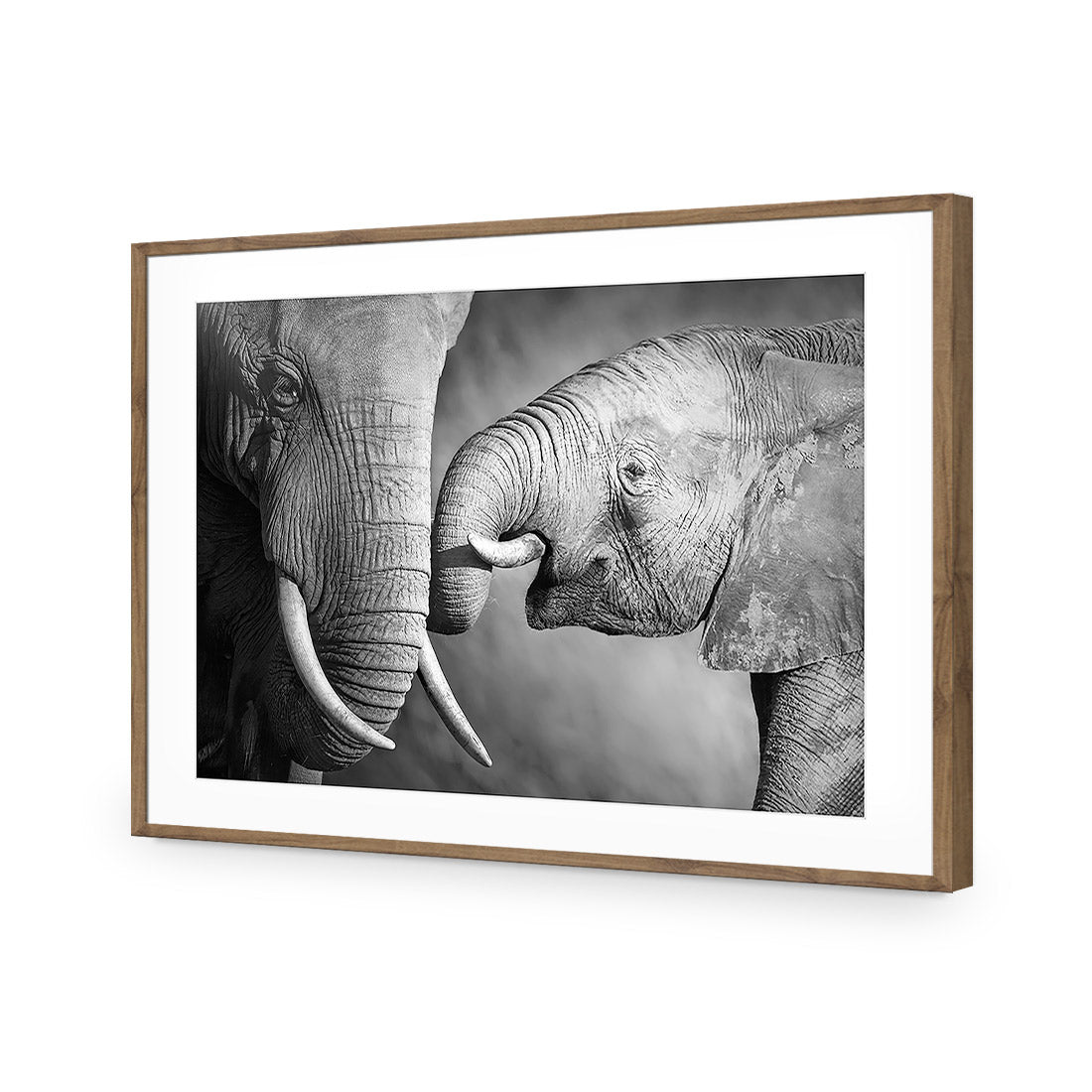 Elephant And Mum, B&W Acrylic Glass Art - Wall Art Designs - 922_AR_H WAD_AP - 030 - MAT_45x30_S - 2538 - NAT