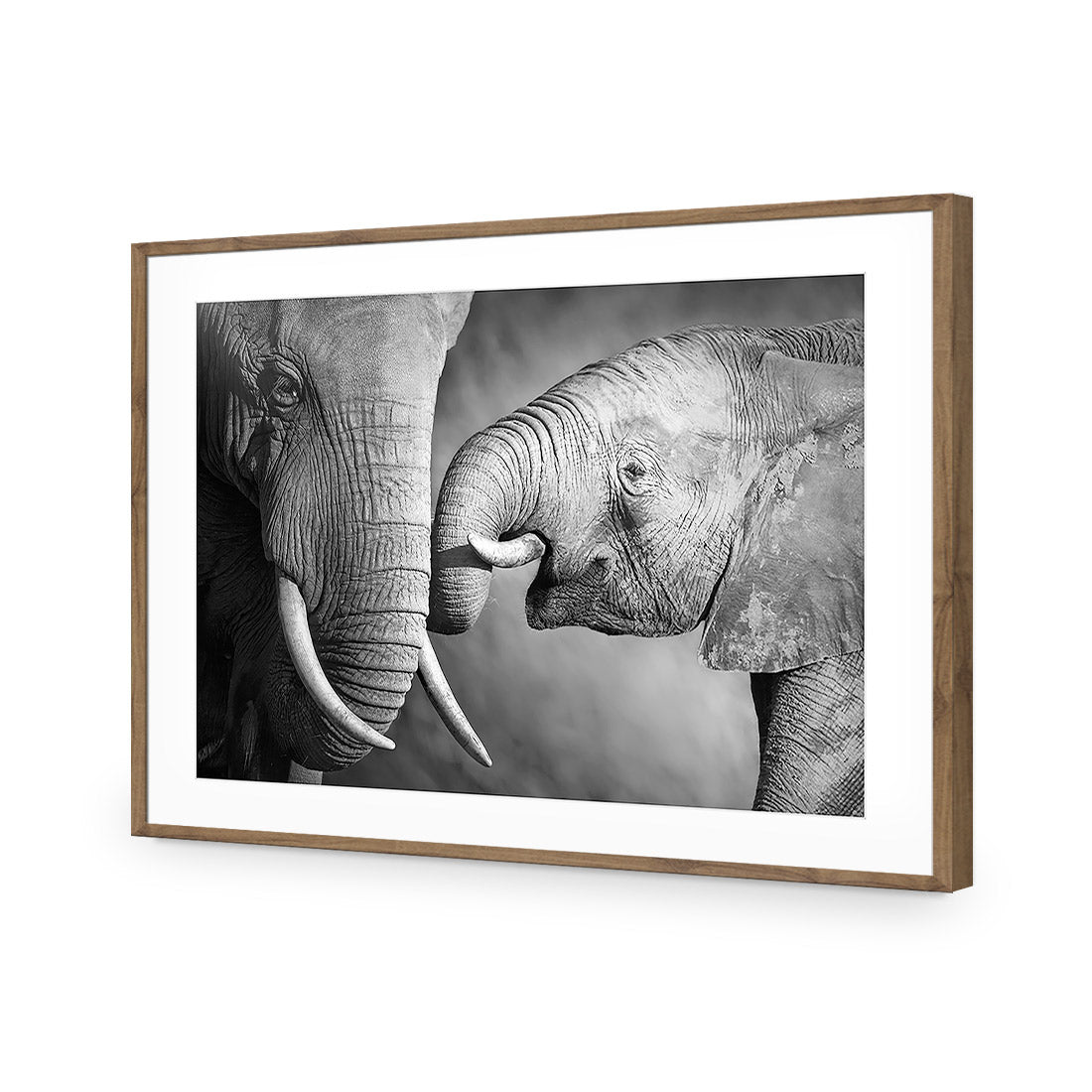 Elephant And Mum, B&W | Standard Acrylic | Flat Frame With Border | Natural