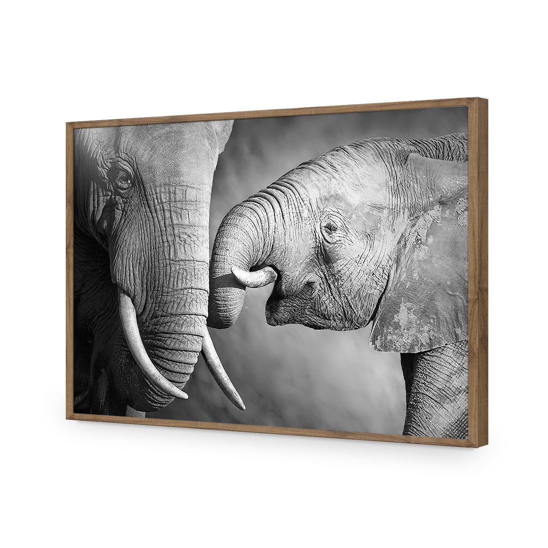 Elephant And Mum, B&W Acrylic Glass Art - Wall Art Designs - 922_AR_H WAD_AP - 030 - EDG_45x30_S - 2538 - NAT