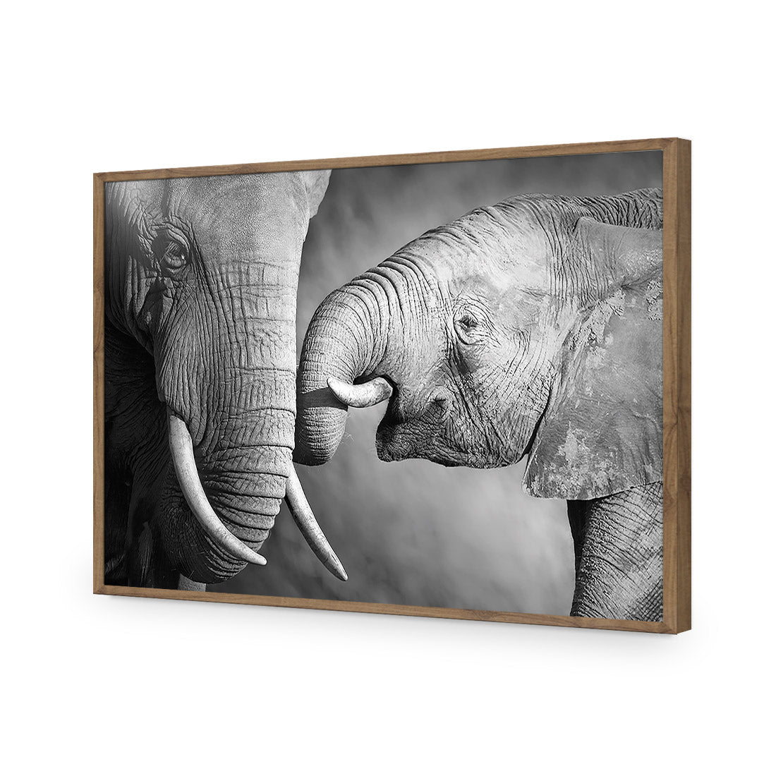 Elephant And Mum, B&W | Standard Acrylic | Flat Frame No Border | Natural