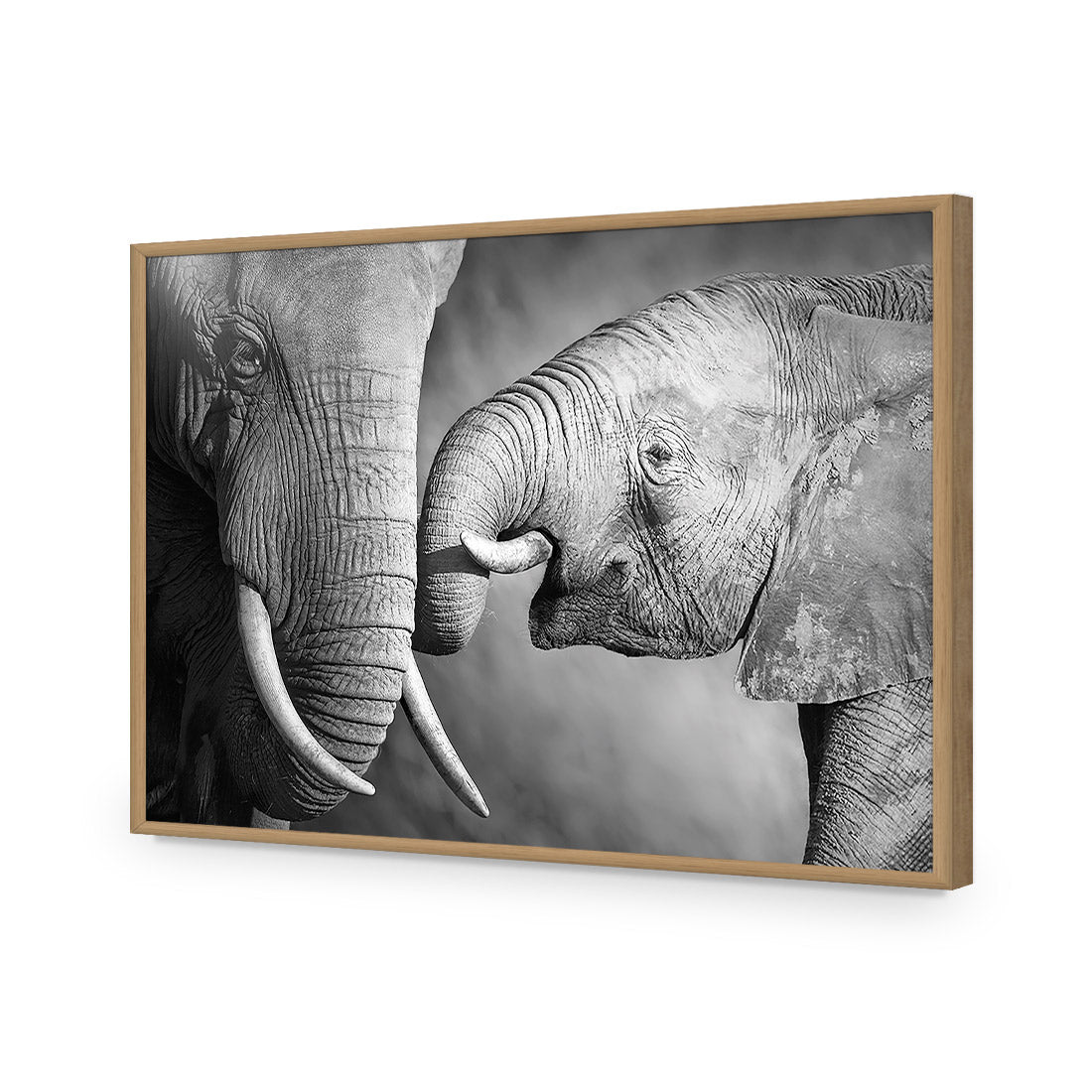 Elephant And Mum, B&W | Standard Acrylic | Flat Frame No Border | Oak